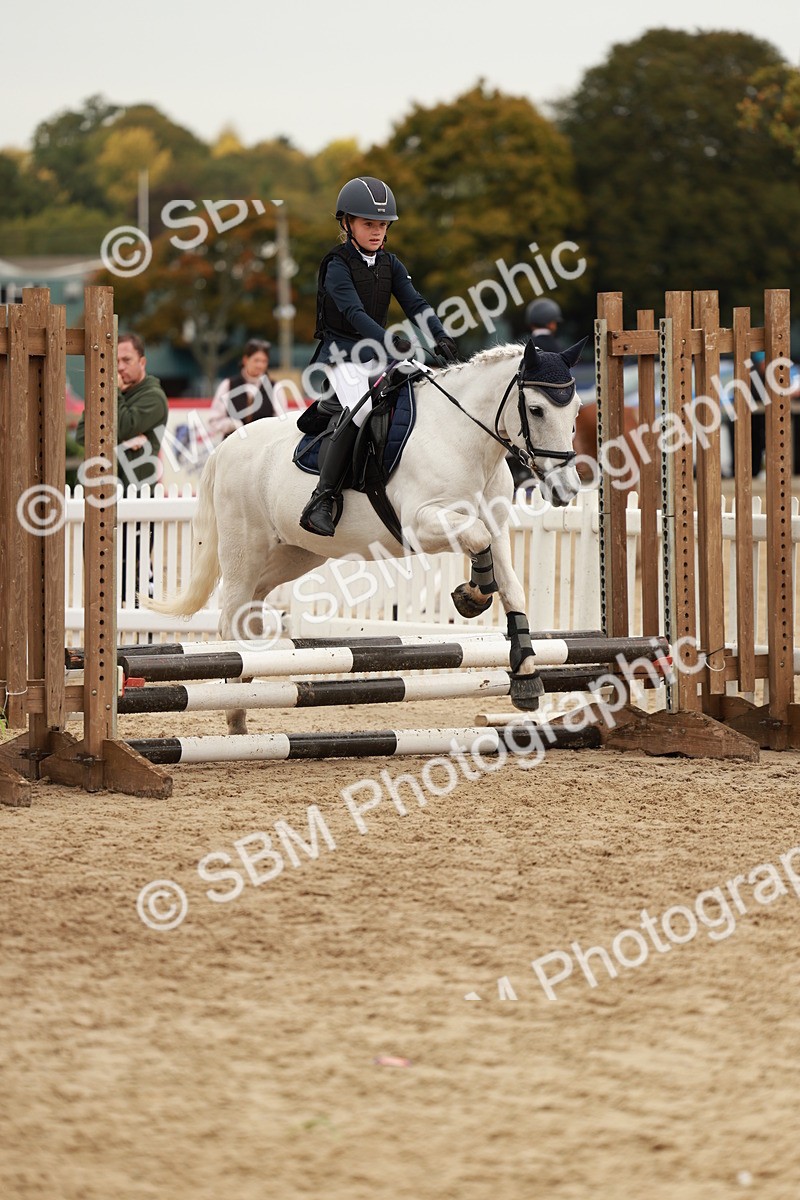 SBM_58044 - J11 - Junior Pony 50cm Championship