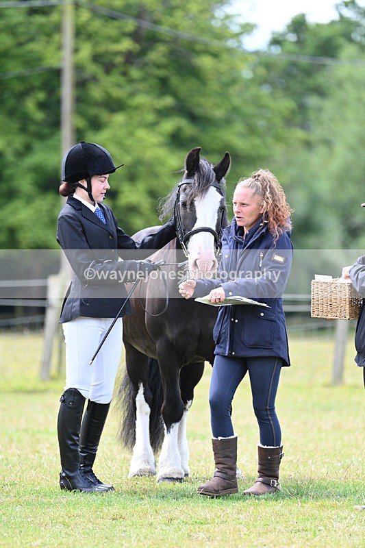 WJ7_6753 - Class 5 Handsome Gelding in hand