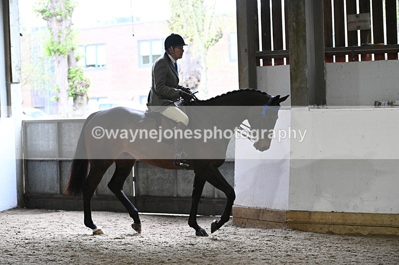 WJ7_3795 - Class 17 Ridden Cob