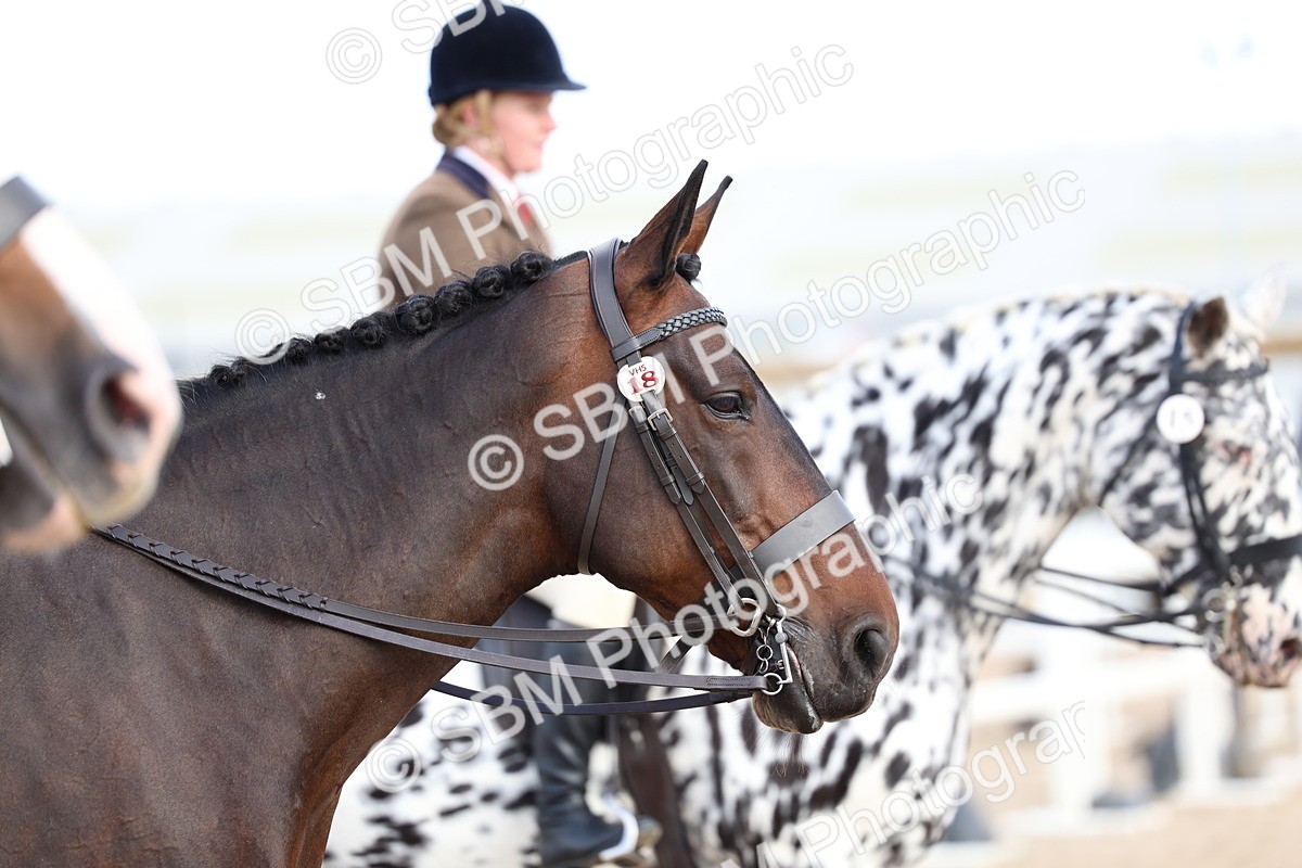 SBM_17249 - Class 315 - Best Horse - Rider Combination