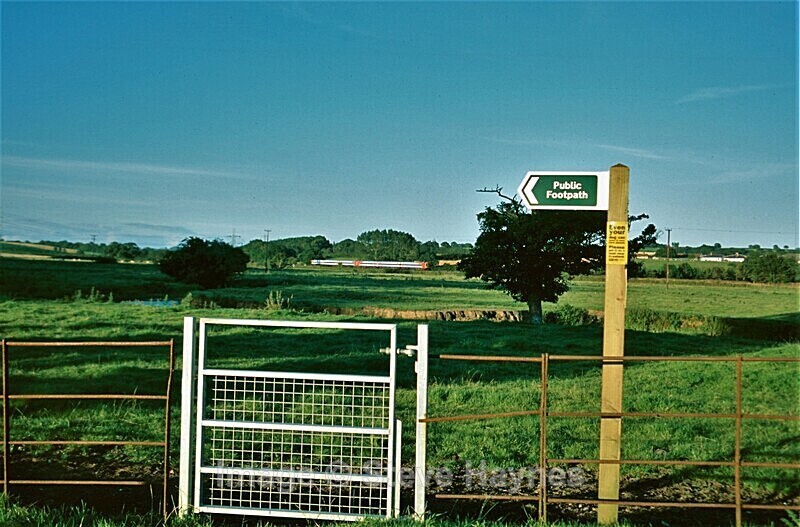 30th July 2007 - Axminster, Devon
