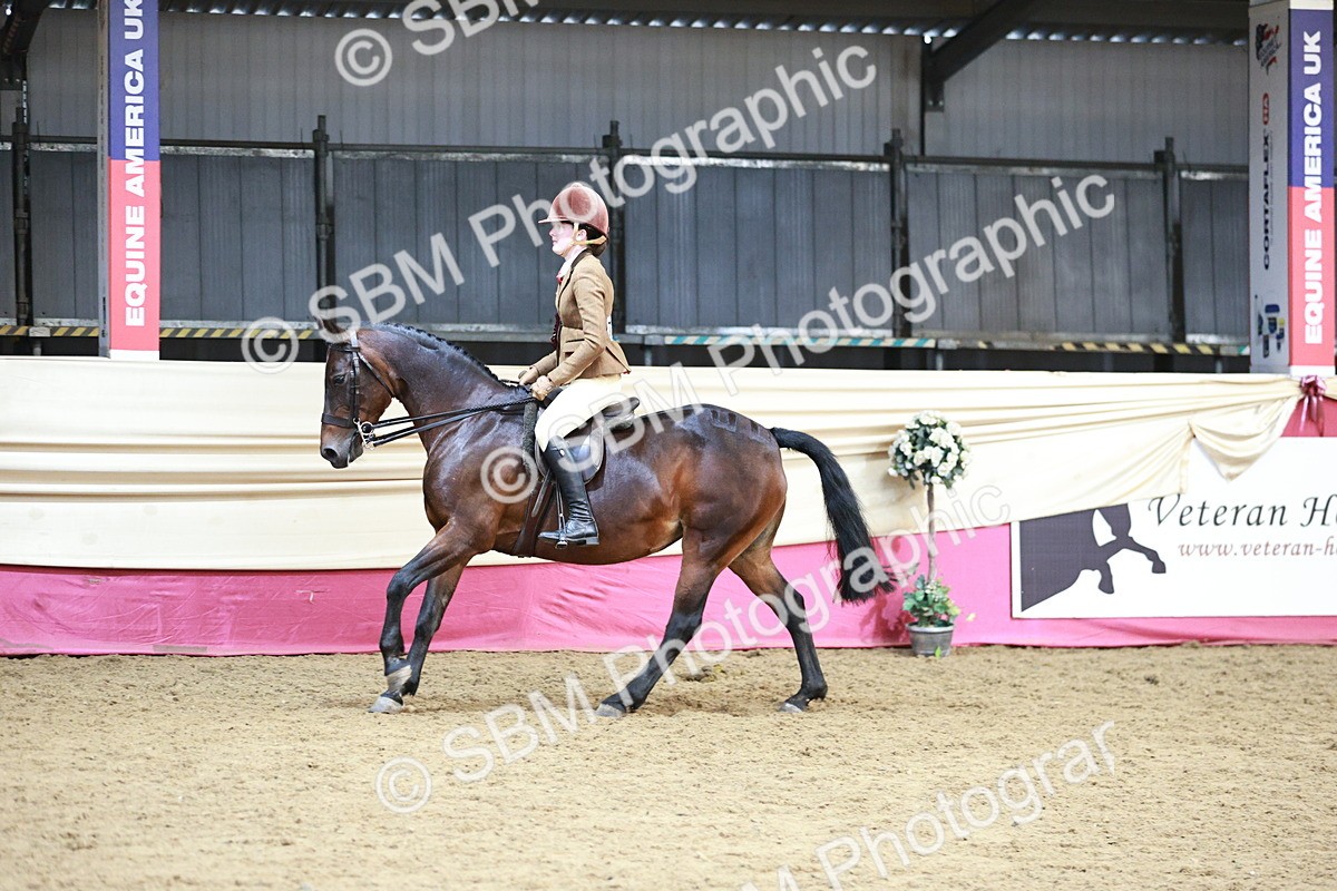 SBM_08668 - Regional Ridden Champ
