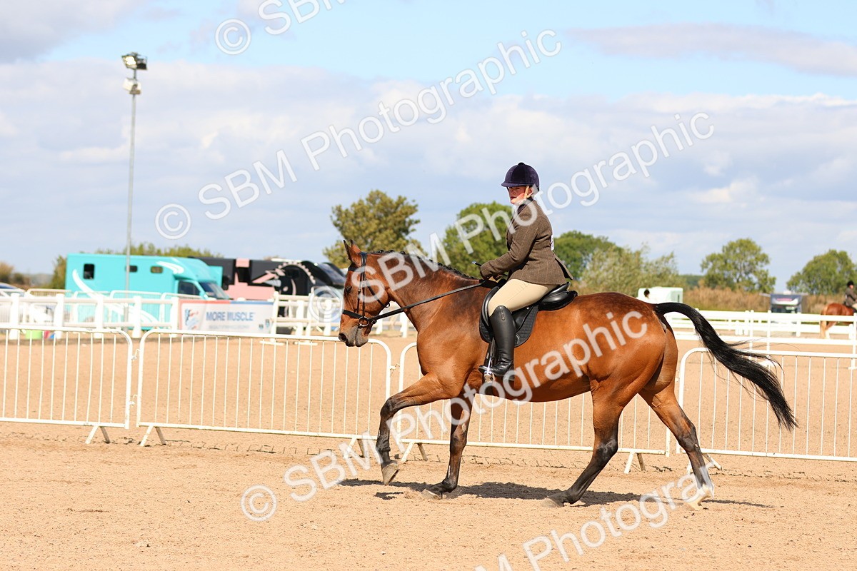 SBM_13498 - Class 212 - Ridden Hunter  - Large