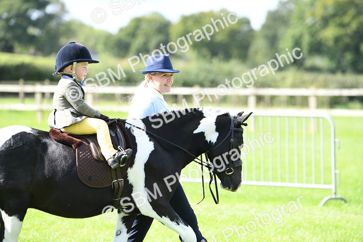 SBM_41128 - S19 - Lead Rein Show & Show Hunter Pony