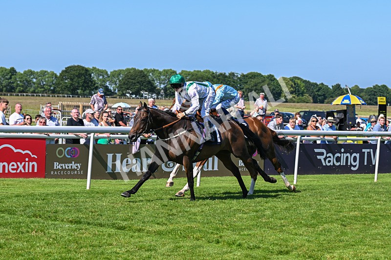 250624-Race 6-Cockalorum-5993 - Race 6