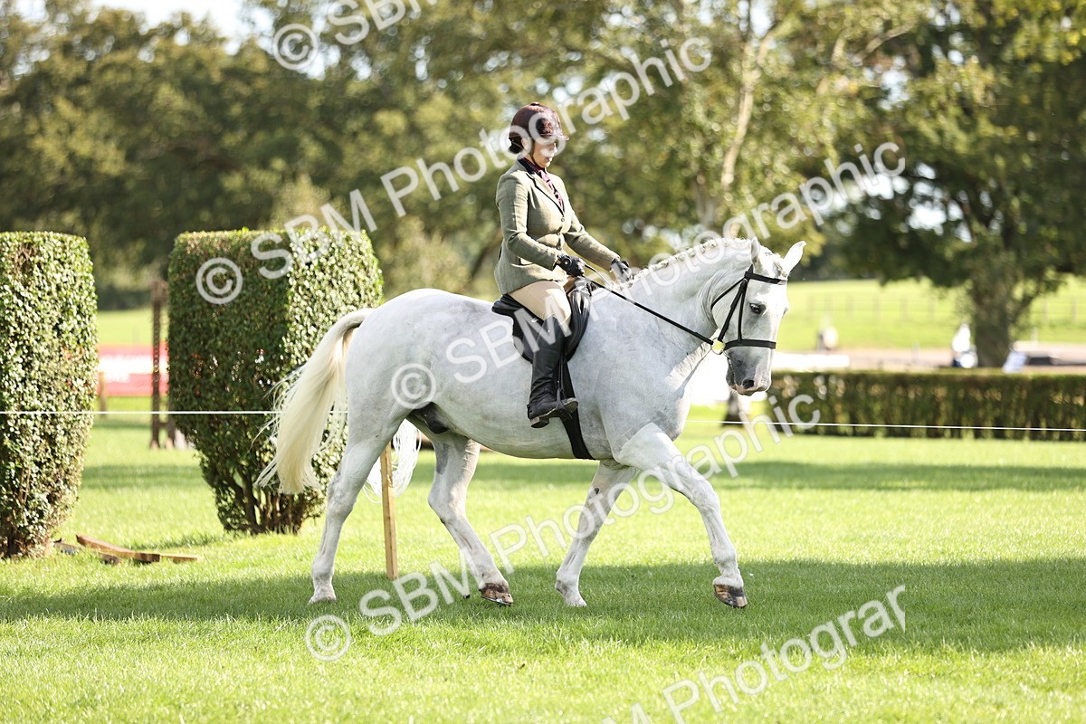 SBM_26364 - S6 - Novice & Newcomers Ridden Horse