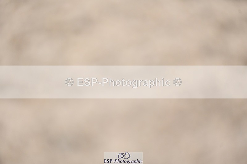 240526-162111-25404 - 233-SILVESTERS_FINESSE-Rosalind_Canter