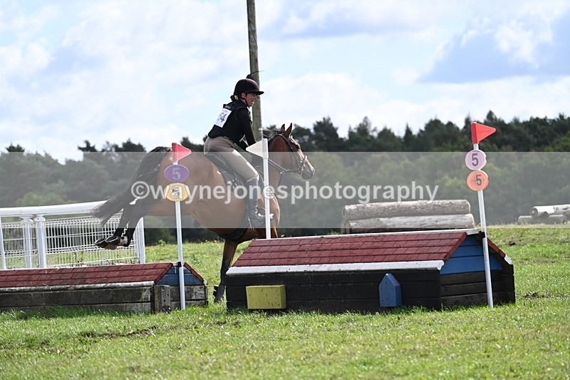 WJ7_0419 - Time 11:36 to 12:00