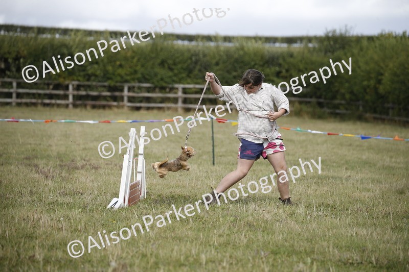 20250831-3879 - Dog Show