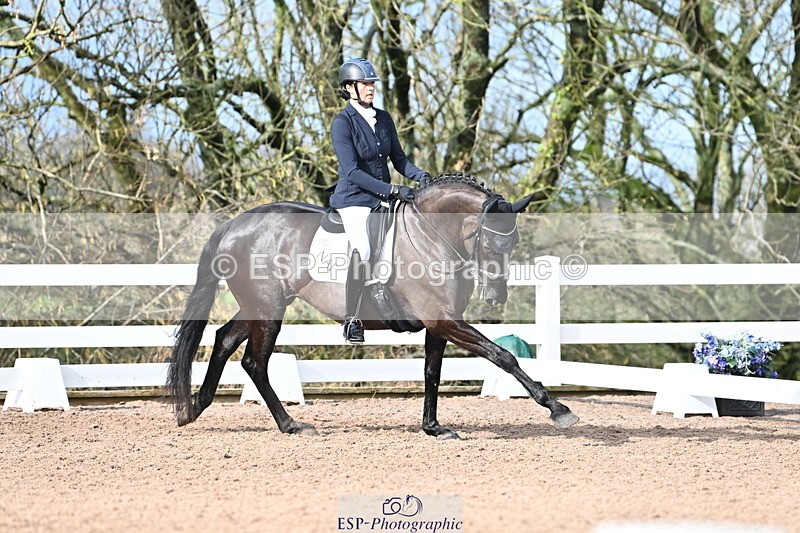 240218A-115845-06942 - 204-Elder.Klatzko-Dynasty.Hit