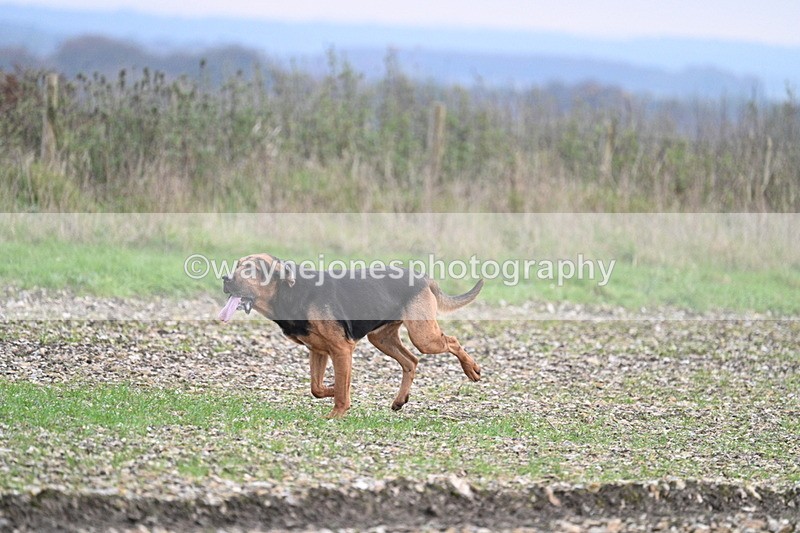 WJ7_0199 - Camera 1 & Last fence