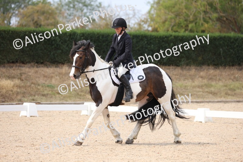 20250819-1334 - Class 4 - Novice 2