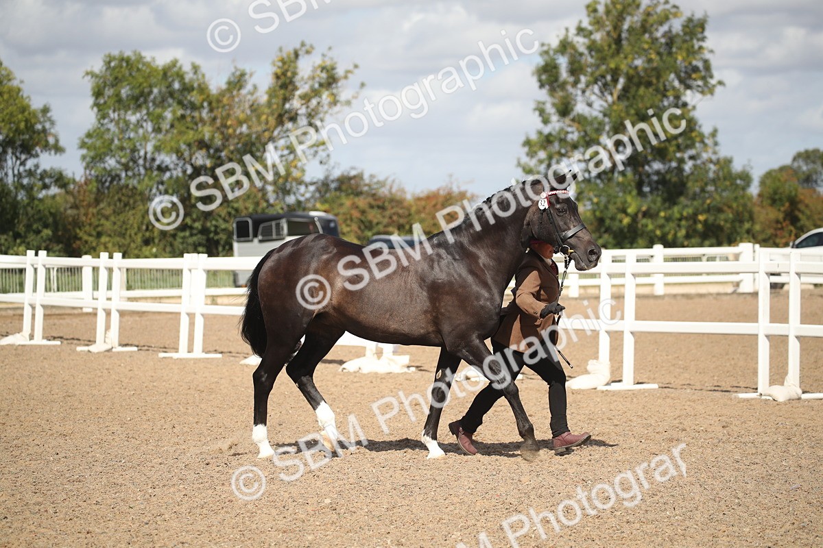 SBM_23419 - Class 604 - 2026 - Area IH Diamond