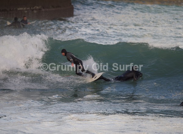 DSC_6033 - Newquay Harbour/Towan 24th Dec 2015