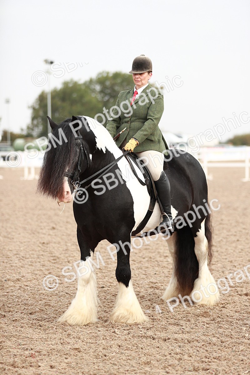 SBM_09417 - Class 202 Best Turned Out Ridden