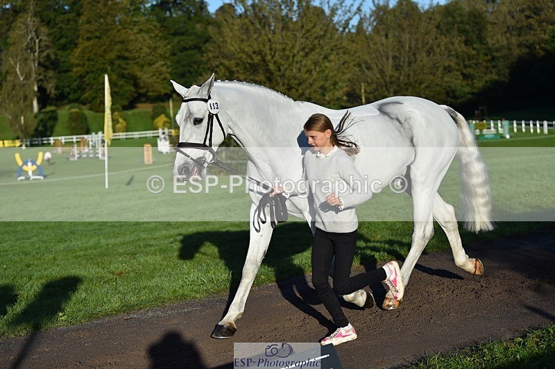 231022-092130-21728 - 653-GREYΓÇÖS.VILLAGE.MELODY-Annabel.Ridgway-TrotUp+SJ