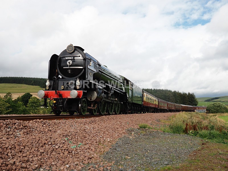 Tornado - Preserved Railways