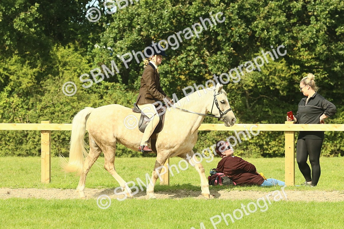 SBM_67415 - S56 - Coloured Pony Ridden
