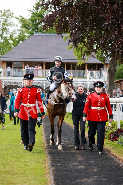 yr21052022r6-30 - Race 6: 4:42pm Yorkshire Regiment Stakes