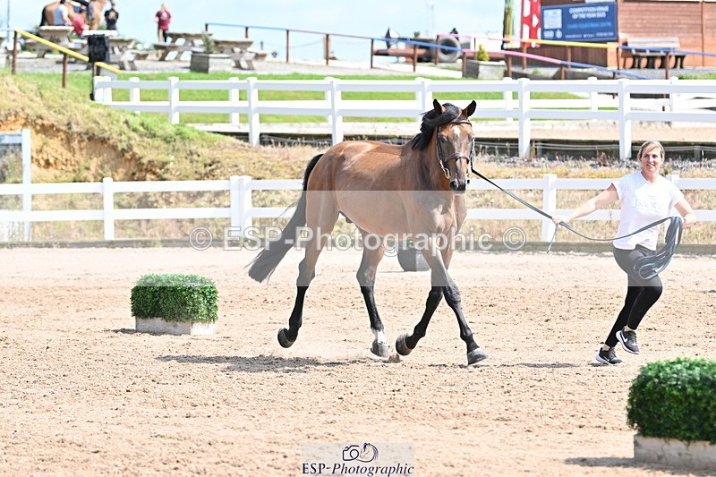240717A-154324-03008 - Trot Up 3pm to 4pm