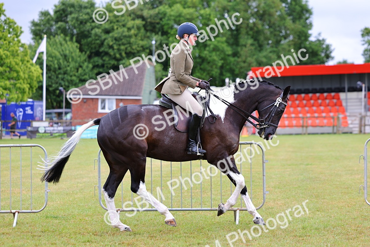 SBM_02496 - Class 9-11 Side Saddle including LIHS Rising Star Ladies Show Horse
