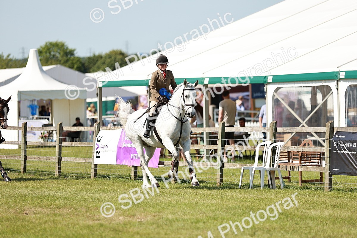 SBM_18489 - Class 112-113 - BSPS LIHS Working Sports Pony