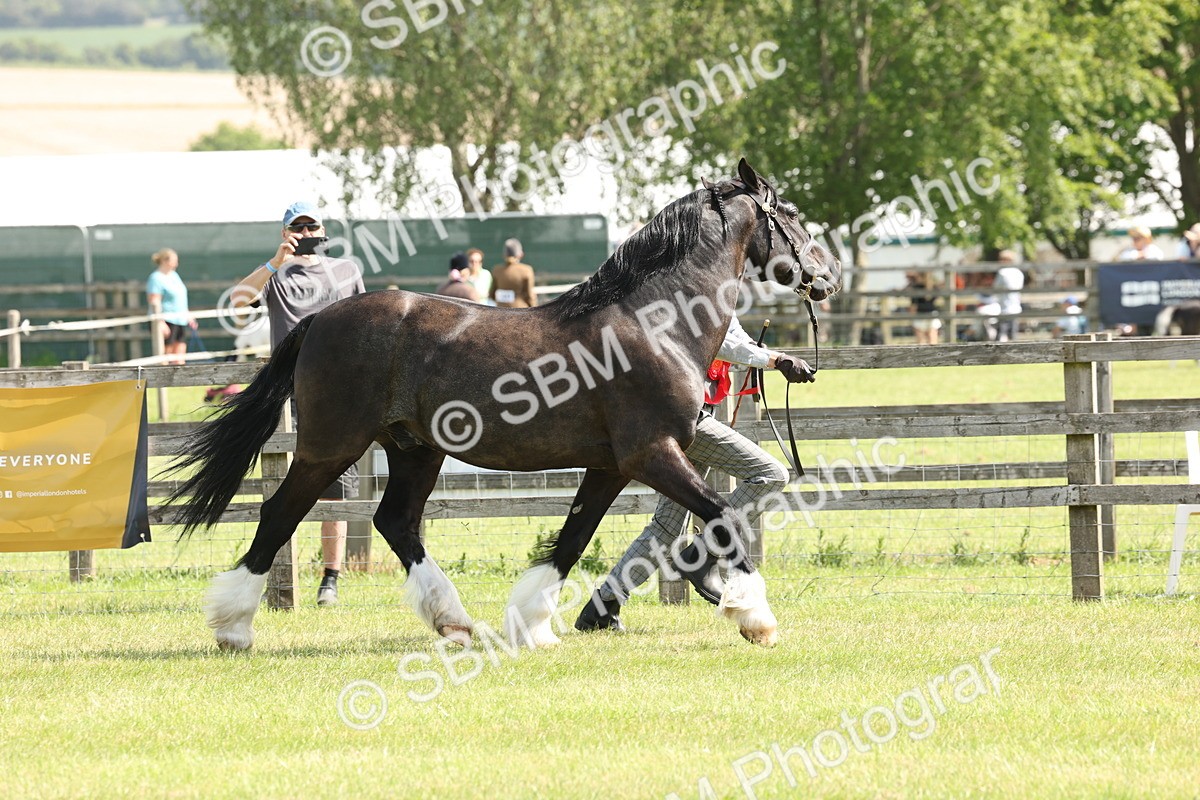 SBM_02343 - Class 6-13 - Mountatin and Moorland In Hand Welsh Breeds