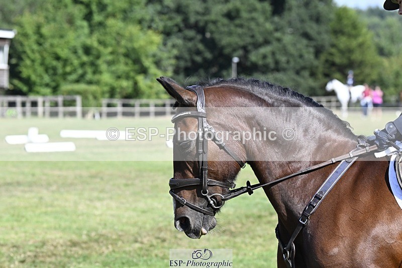 250822A-104824-20465 - DR 10.00 to 11.00