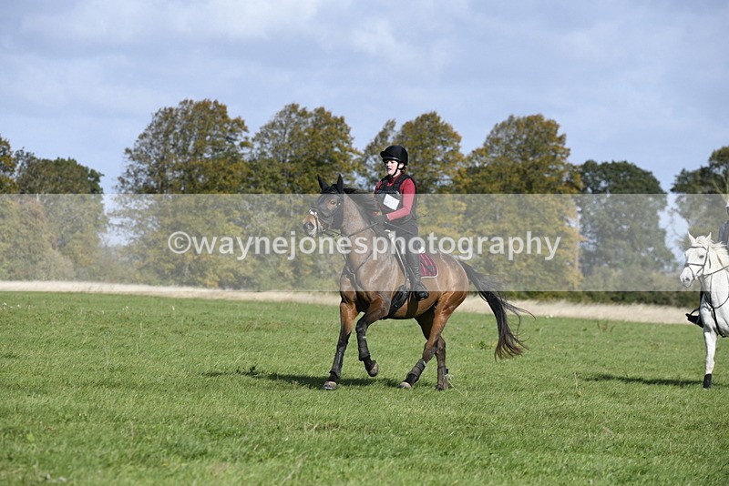 _DSC5446 - Time 10:49 to 11:23