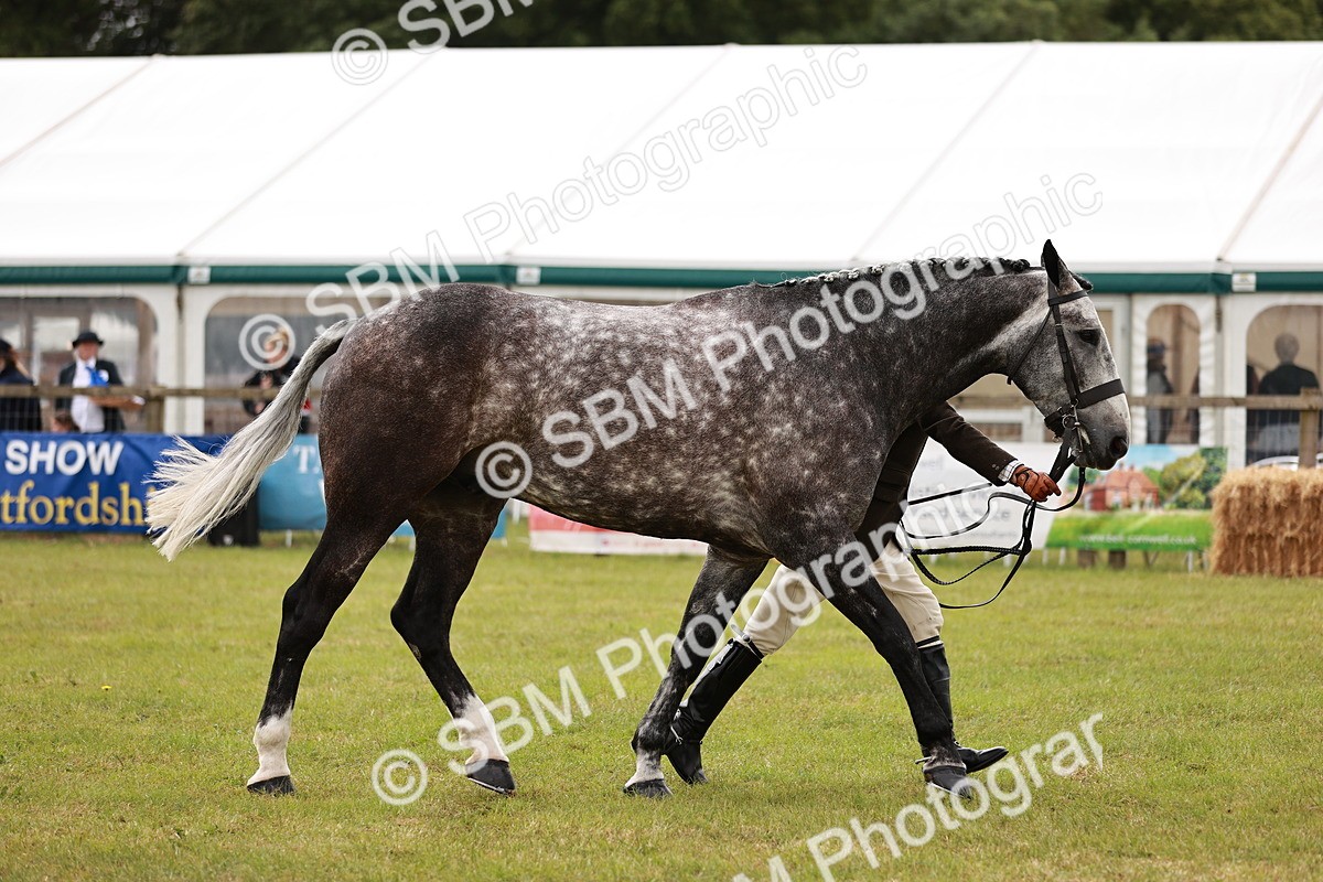SBM_10944 - Class 81-84 - RIHS Ridden hunters Inc Ladies Hunter