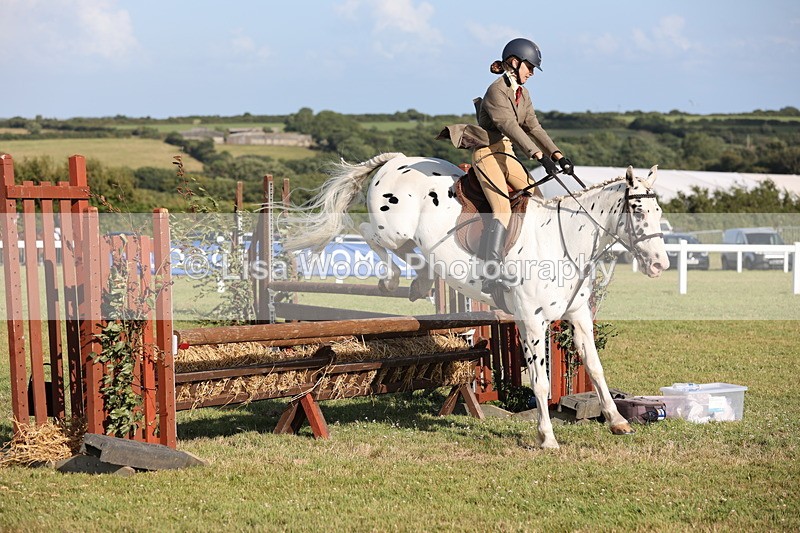 JPP_3173 - Class 21: Working Hunter 80cm