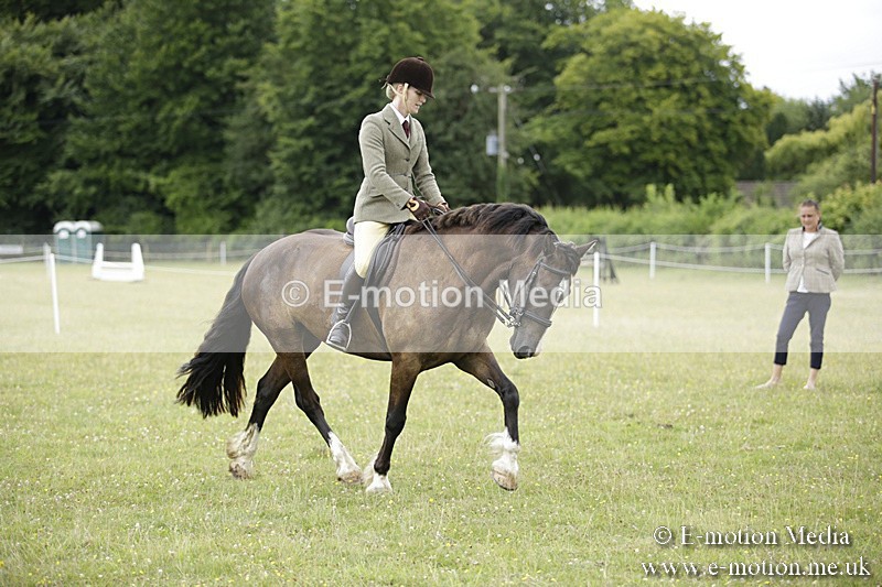 BVR160717-1295 - Ring 1 BVRC Show 16/07/17