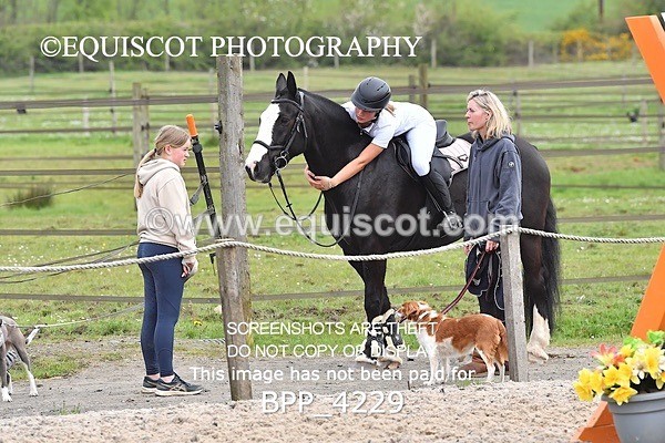 BPP_4229 - SUN CLASS 19 Club/ Unaff 80cms Open