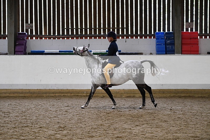 WJ5_7746 - Class 13 Ridden Part Breed