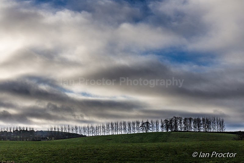 The Treeline Skyscape - County Antrim