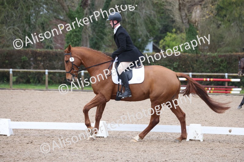 20251206-0626 - Class 6 - Novice 3