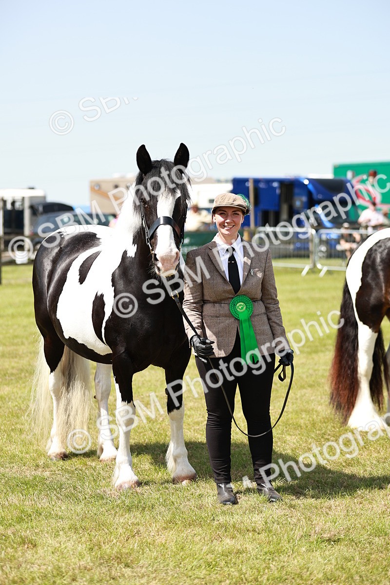 SBM_04272 - Class 39-40 - BSPA Coloured In Hand