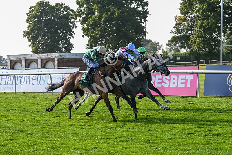 300824-Race 7-The Crafty Mole-6494 - Race 7