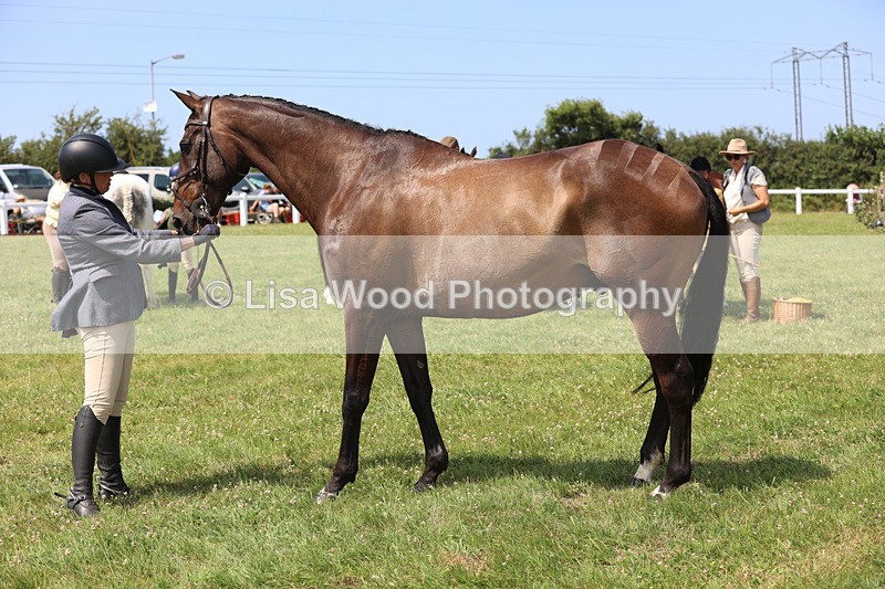 JPP_3388 - Class 22: Working Hunter 70cm