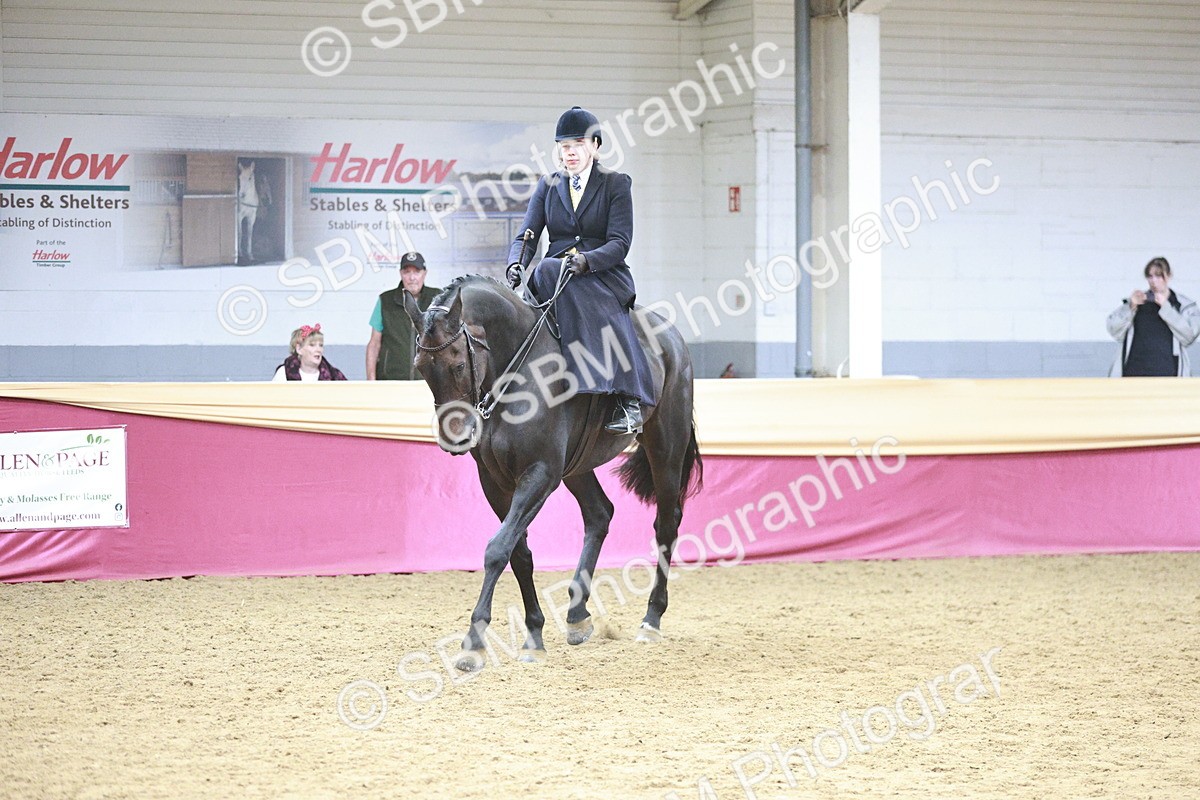 SBM_08845 - Class 12R - Regional Ridden Pre-Vet