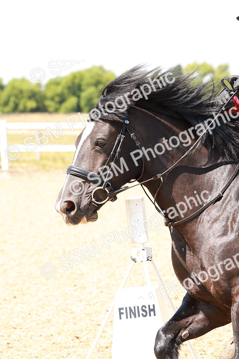 SBM_002610 - AE - 70cm