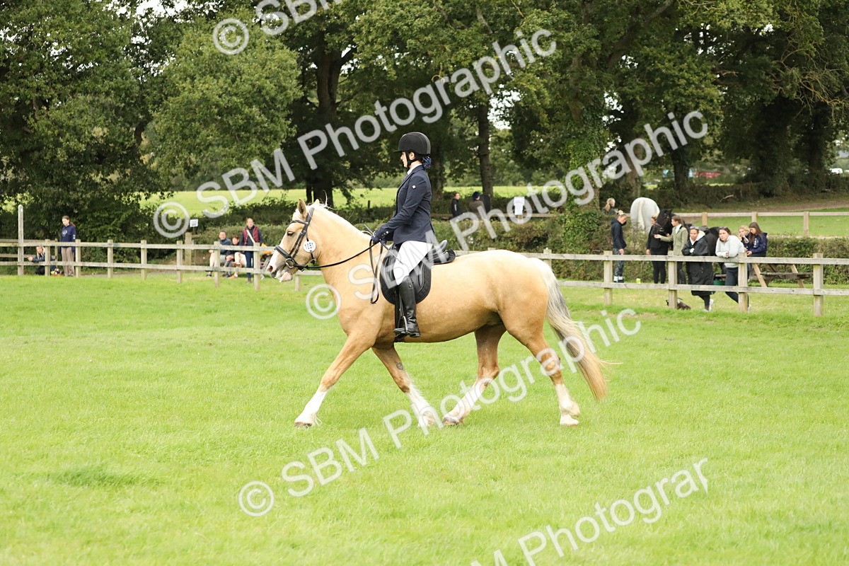 SBM_73709 - S41 - Ridden Equitation (Best Rider)