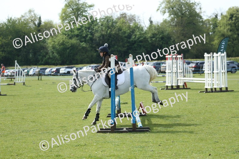 20260426-1536 - Class 14 - Novice 60cm