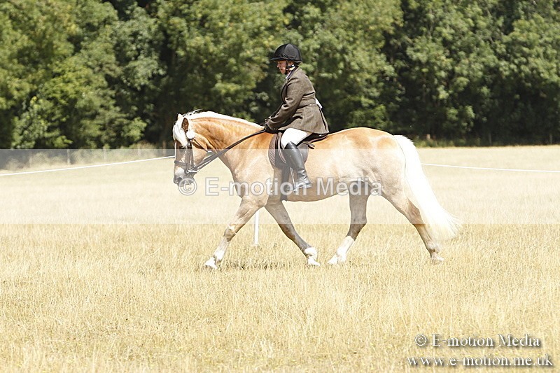 _BS_0752 - BVRC Show 2018 Ring 1