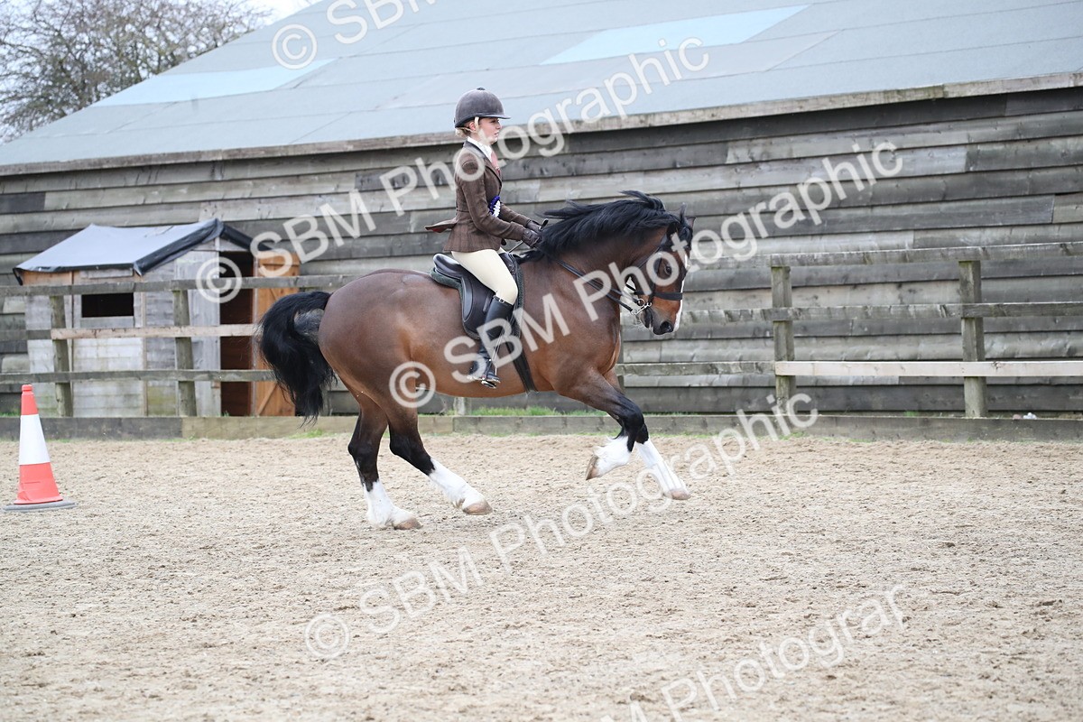 SBM_007076 - Class 10-13 - RIHS Small Large Breeds
