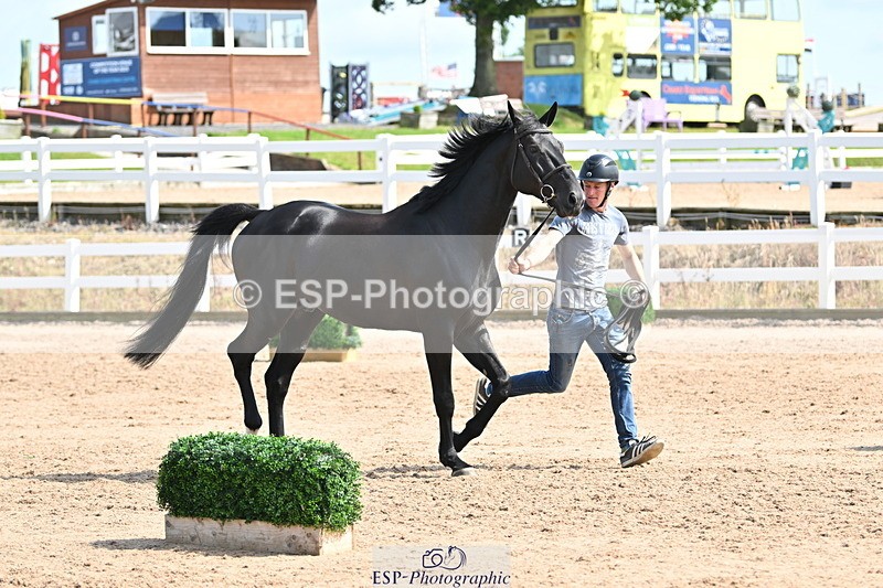 240717A-155028-03092 - Trot Up 3pm to 4pm