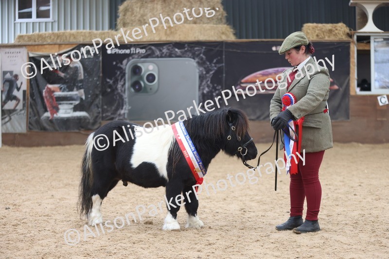 20251109-0453 - Championship