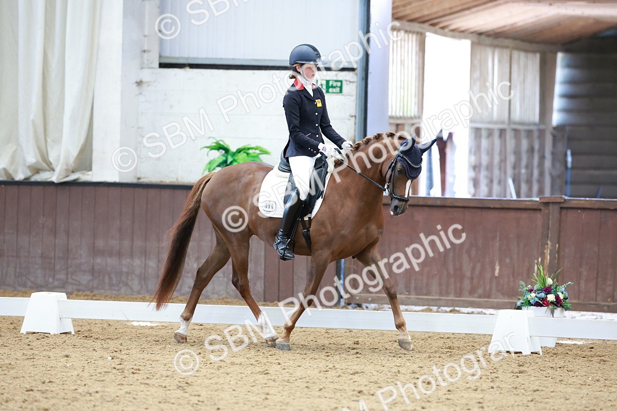 SBM_017186 - Class15 - FEI Pony