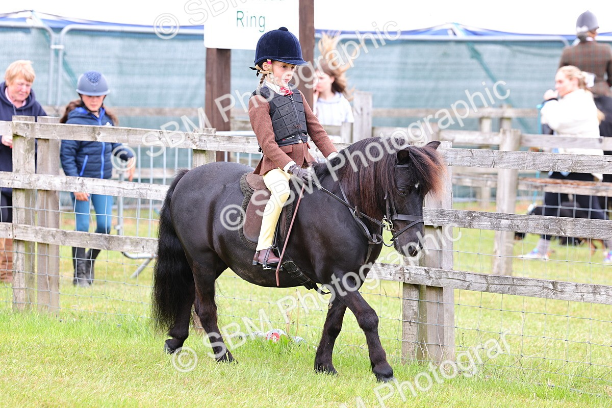 SBM_08423 - Class 42-43 - LIHS BSPS Heritage Working Sports Pony