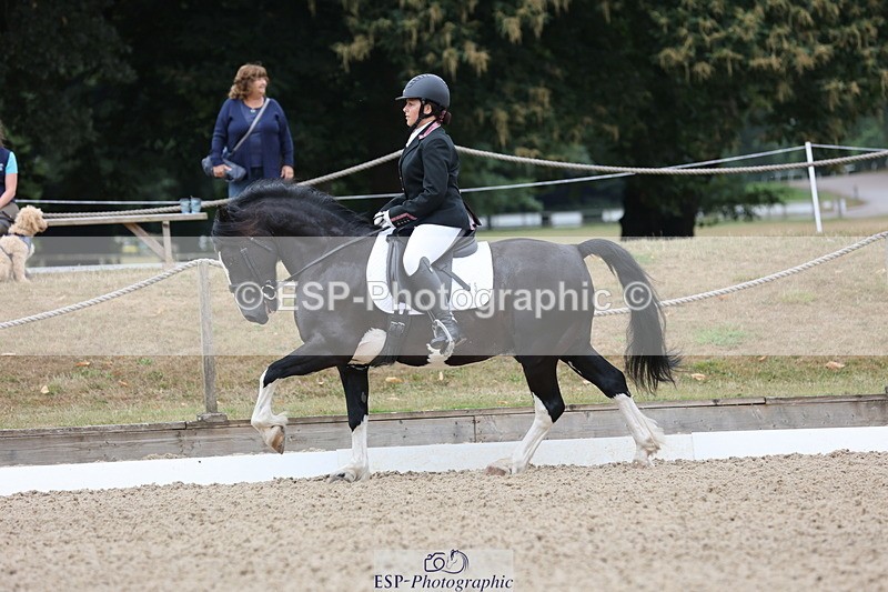 250718A-100324-00424 - 145-Amber.Heywood-Walena.Rockocoko